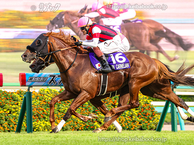JRA 競馬 写真集 Amazon.co.jp: イクイノックス写真集 世界一の景色 (廣済堂