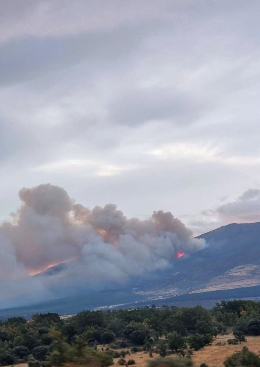 svendirai's tweet photo. ↠

#IFPeñalbaDeLaSierra:
El avance feroz del fuego
alimentado por el viento dirección
Segovia, de anoche a esta mañana.
Han desalojado Riofrío y Cerezo de
Arriba. La Pinilla es historia. Arde
una joya, un hayedo, La Pedrosa.
Llueve tímidamente: 🗣🌧!

https://t.co/3LzvbUviCt

↞ https://t.co/2BwLkRIpgT