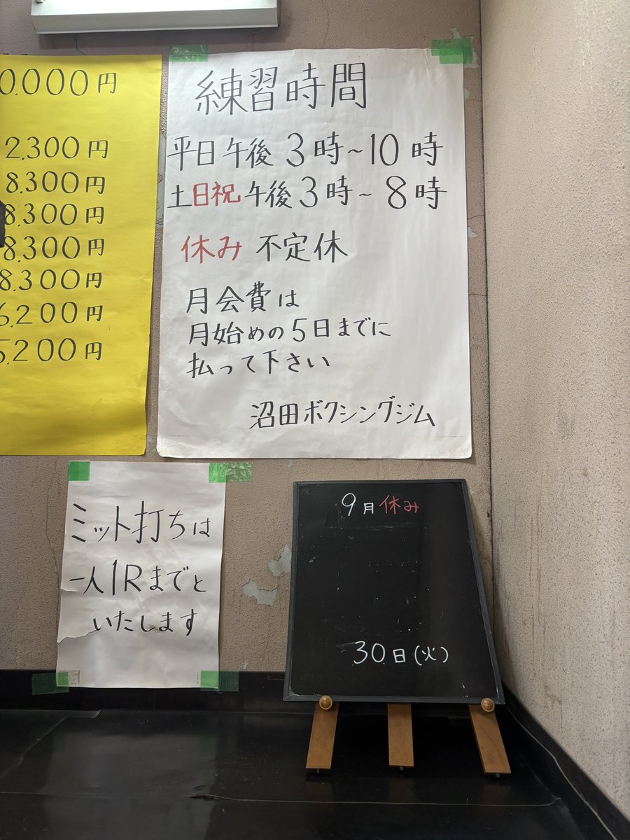 0Sun0flower's tweet photo. #会長曰く 今日は暑いね
秋の気配も何処へ、結構ちゃんと暑い…けど #沼田義明 会長のミットいただけるなんて超うれしい練習日です!!

沼田義昭  #会長 にいいストレート!のお言葉いただけるだけで10月も俄然やる気になります練習がんばります!!

 #沼田ボクシングジム  #沼田義明 https://t.co/rncFysvzuM