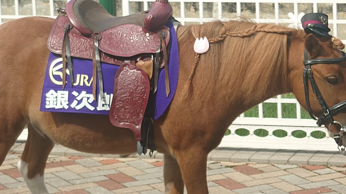 ウマキ様ご連絡ページ 4K60P前面展望】えちごトキめき鉄道 妙高はねうまライン 快速