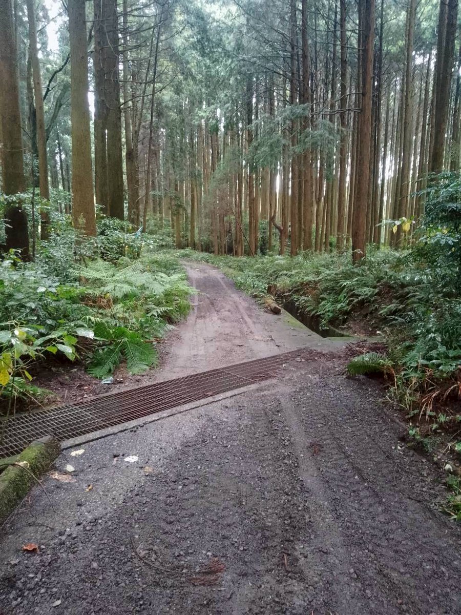 field_thousand's tweet photo. 本日サウザンド整備を行い、皆さんのお陰で、道路が綺麗になりました！

本当にありがとうございました！

フィールドは、草が生い茂ってて、草刈り機では太刀打ちできなかったので、他の方法で対処し、小林サウザンドゲームが開催できるよう、全力でやっていきます！

#サバゲー 
#小林サウザンド整備 https://t.co/Zk7X9Ai9cH