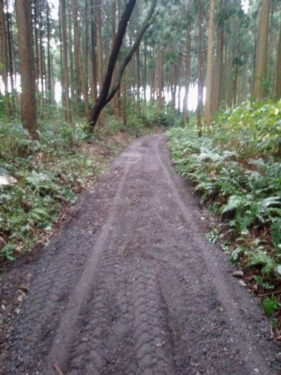 field_thousand's tweet photo. 本日サウザンド整備を行い、皆さんのお陰で、道路が綺麗になりました！

本当にありがとうございました！

フィールドは、草が生い茂ってて、草刈り機では太刀打ちできなかったので、他の方法で対処し、小林サウザンドゲームが開催できるよう、全力でやっていきます！

#サバゲー 
#小林サウザンド整備 https://t.co/Zk7X9Ai9cH