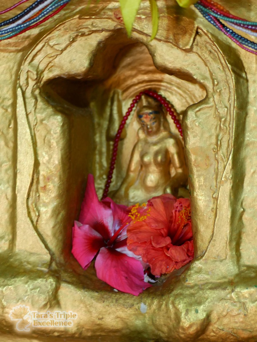 TaraTripleExcel's tweet image. Our longstanding and habitual obsession with our own personal well-being is what blocks the natural flow of our innate loving-kindness.
- TTE team