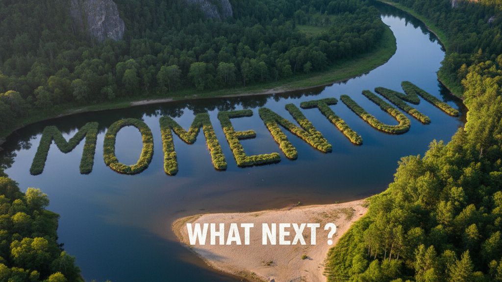 What is Momentum? <a href="/MMTFinance/">Momentum</a> is more than just a DEX on Sui.

It started as MSafe but evolved into the core liquidity engine of the ecosystem. Built on CLMM, it enables efficient swaps, staking, Bricks rewards, and prepares for veMMT governance.