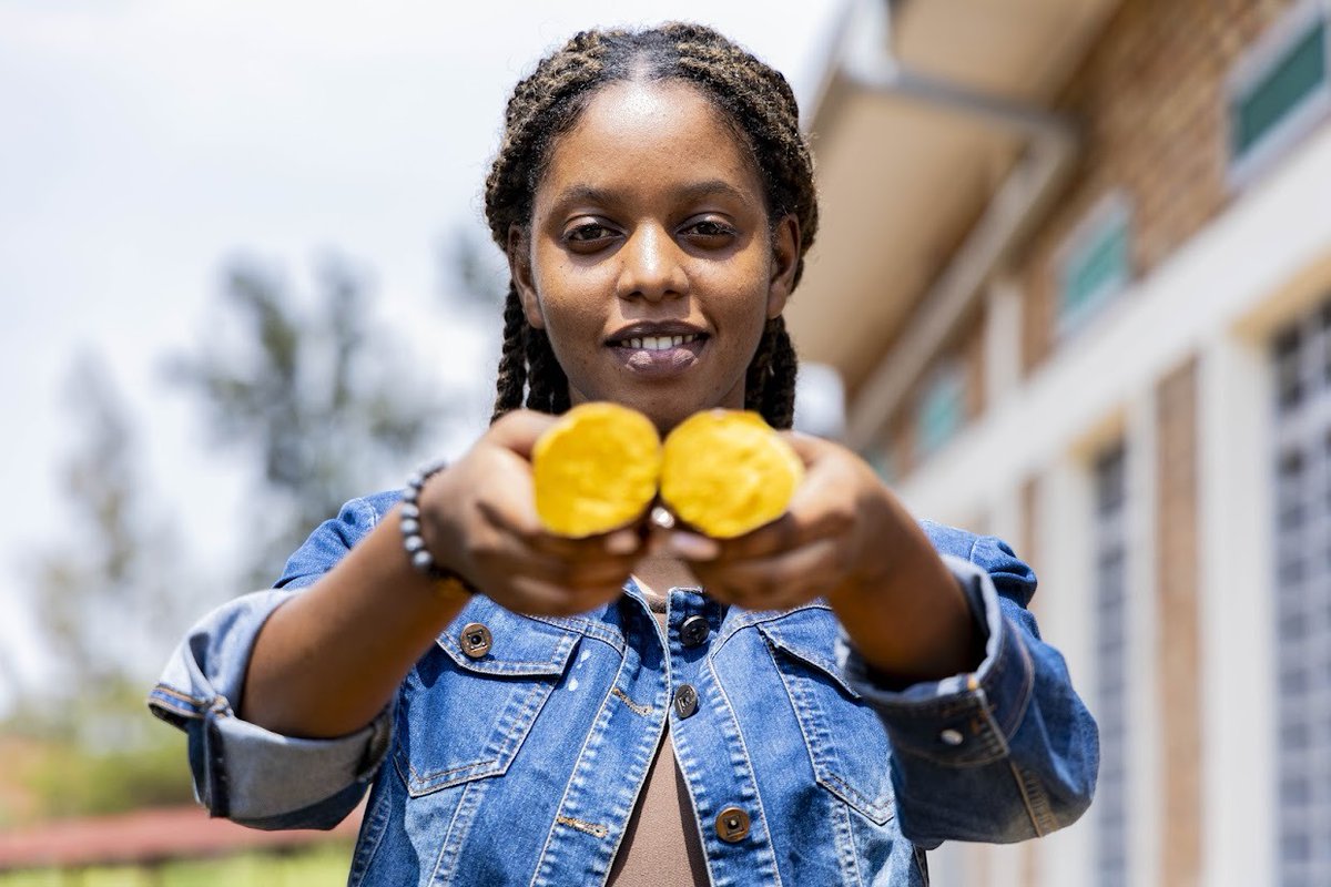 CipotatoRW's tweet image. #VitaminA rich #OFSP processing took center stage! Participants tasted and learnt how to turn #OFSP into numerous nutritious and appetising products and pledged to apply these technologies in #EasternDRC.