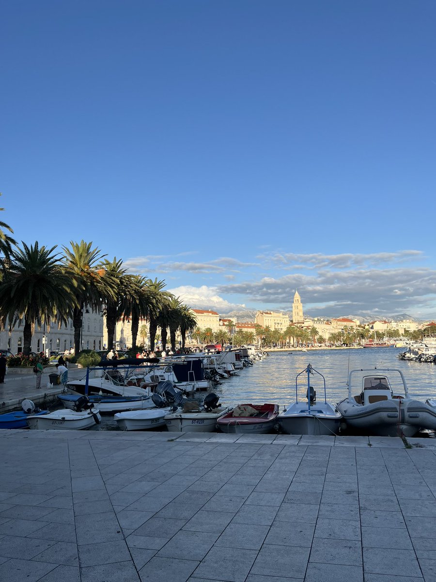 𝐋𝐨𝐥𝐚 tweet media