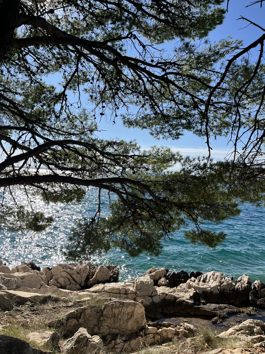 𝐋𝐨𝐥𝐚 tweet media