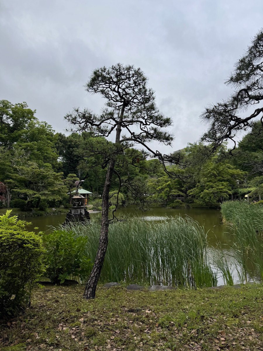 aura0705's tweet photo. アルペジオのラップの乱れた感じ。ぼく旅の返歌ラリー。亀田さんの脳天を突き刺すようなベース。静謐な犬8曲からの屋根を走る仔猫のようにブラついて、あやまちはしない！の3連呼からの流動体の炸裂する狂ったギターソロ。
93年の野音、94年の色褪せたLIFE、24年の真新しいLIFE。#日比谷野音の小沢健二 https://t.co/UemC69VRtI