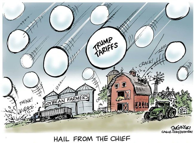 MathPlus's tweet image. Trump Tariffs
Loyal MAGA fields,
Tariffs shield from market storms,
Billions rain as aid.
#China #soybean #US #MAGA #farmers #tariffs #subsidy #haiku #poetry