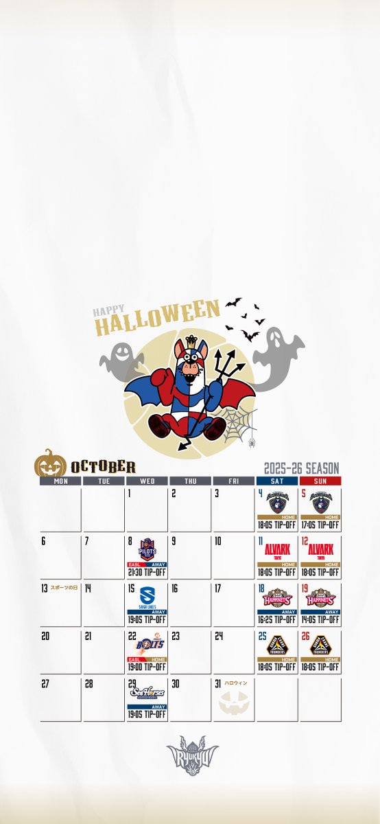 琉球ゴールデンキングス 2007年-2013年のパンフレットやカレンダー色々