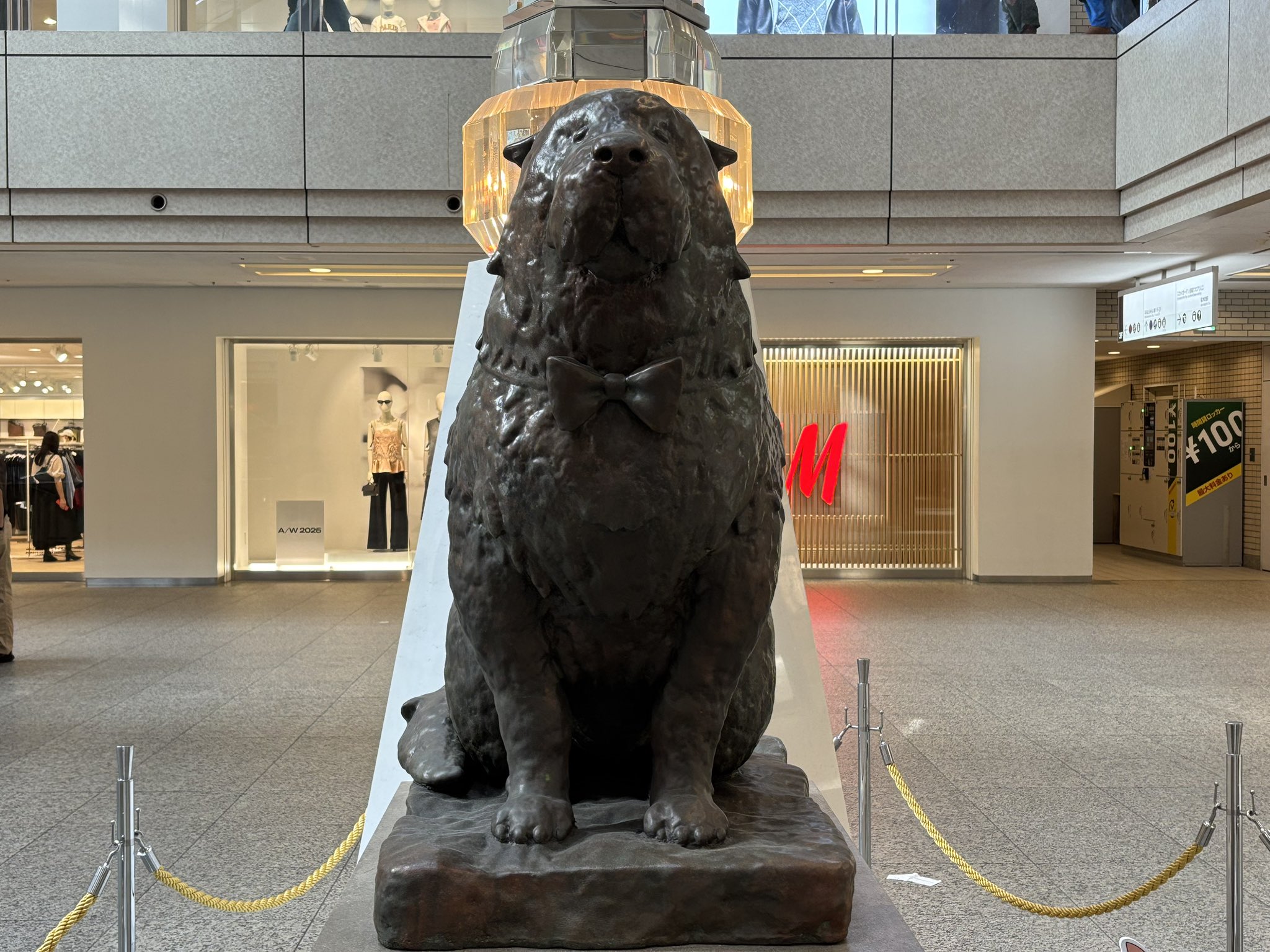 パンダリン (@pandarin50) / X