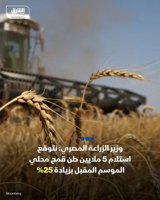 وزير الزراعة المصري، علاء فاروق: - نتوقع استلام 5 ملايين طن قمح محلي في الموسم المقبل، بزيادة نحو 25% مقارنة بموسم 2024-2025 - أسعار الأسمدة المدعومة ستظل ثابتة في الفترة المقبلة حتى لو ارتفعت أسعار المواد البترولية - نجري مفاوضات مع شركات صينية وهندية لتوطين صناعة المبيدات في السوق المصرية. تصريحات الوزير جاءت على هامش منتدى الاقتصاد الأخضر في القاهرة. تابعوا اقتصاد الشرق للمزيد 