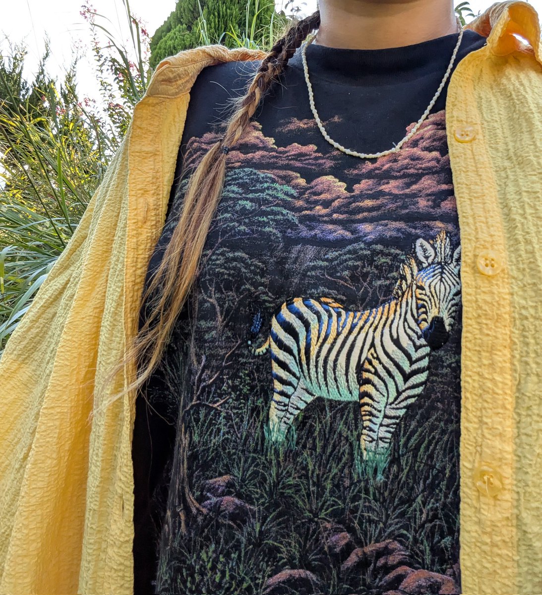 リサイクルショップで一目惚れしたシマウマ刺繍Tシャツ🦓