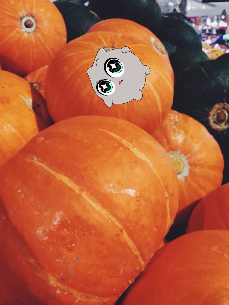 Pumprite? haha groceries is good with sprite!

Happy weekend <a href="/irys_xyz/">Irys (✧ᴗ✧)</a> fam, keep locked in🔒

#irys