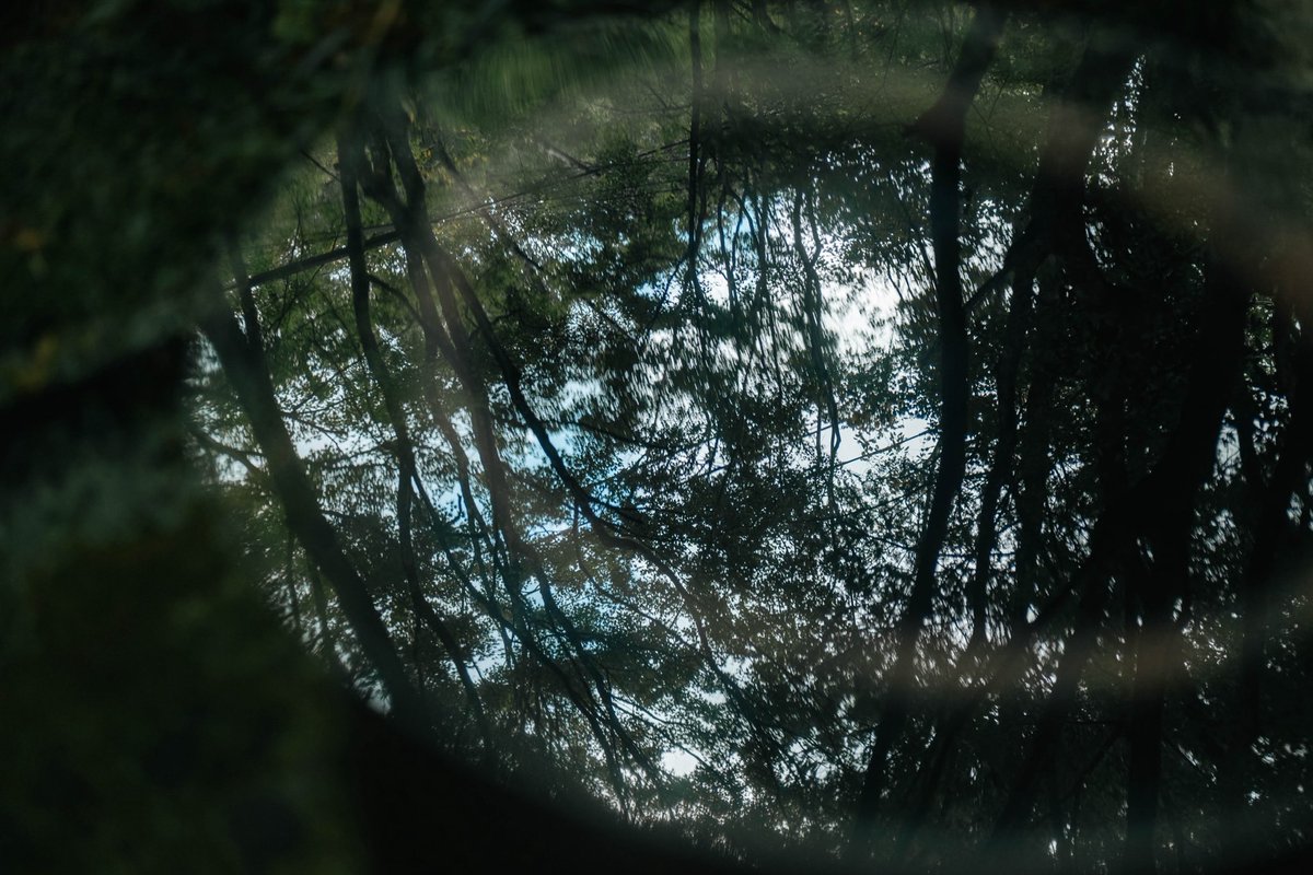 s_works333's tweet photo. SIGMA BFに新しいLマウントレンズ。
LUMIX S50mm f1.8

いわゆる撒き餌レンズだけど、想像以上にいい写り。
コスパ最強。 https://t.co/zUsmZmcCXt