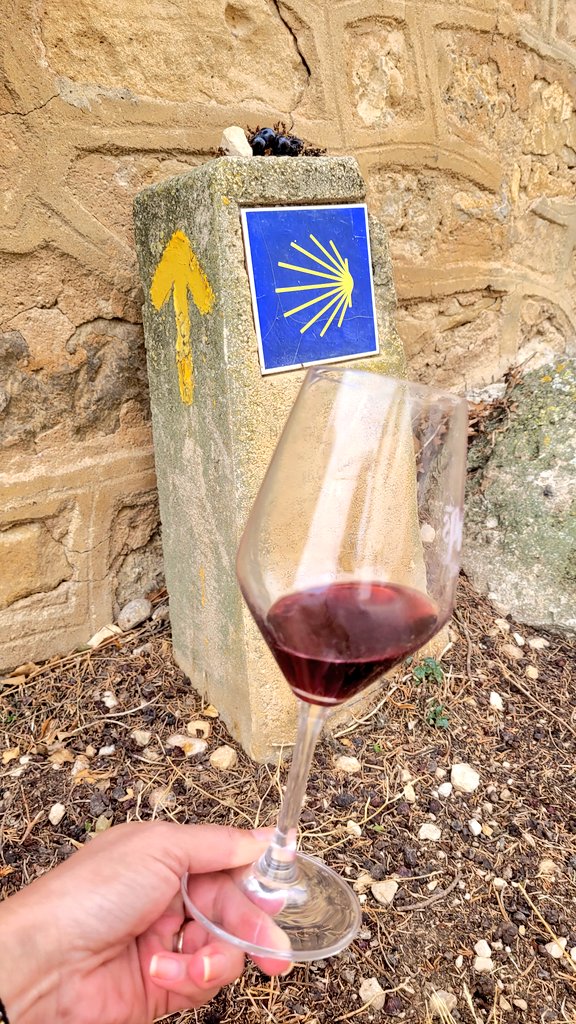 Vanessa Torres tweet media