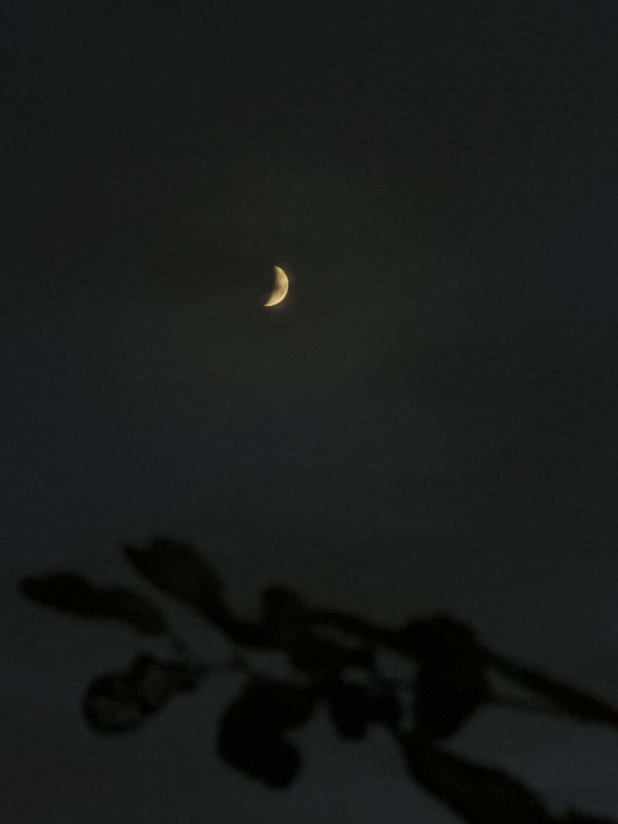 하루종일 비가 내렸다. 잠깐 비가 갠 하늘에 작은 달이 보인다. ‘나뭇잎이 떨어지기 시작하는 달’인 인디언의 9월이 끝나가는 중이다.