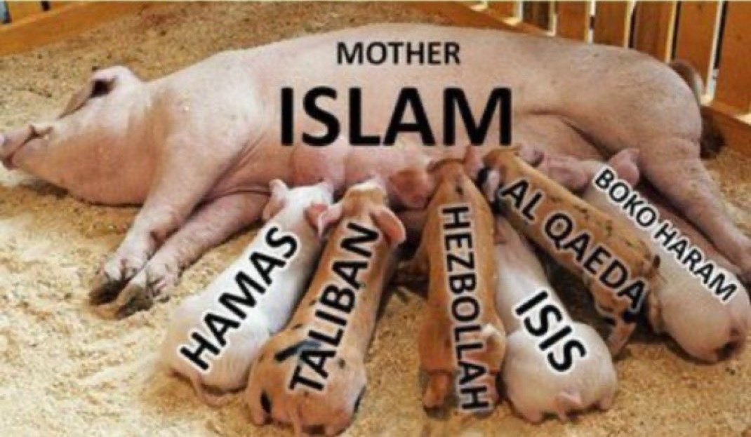 $₮£V€₦ tweet media