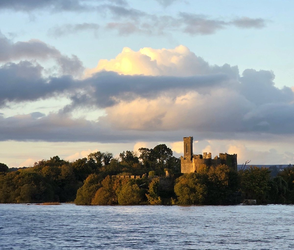 Irma Jeelof tweet media