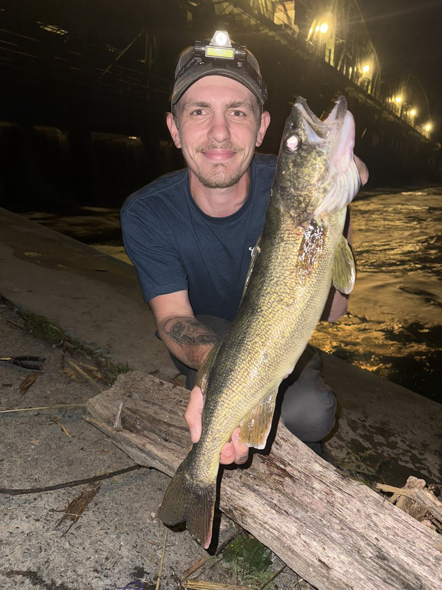 Gunz🌙 tweet media