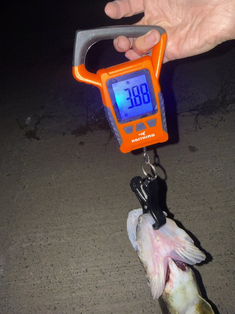 Gunz🌙 tweet media