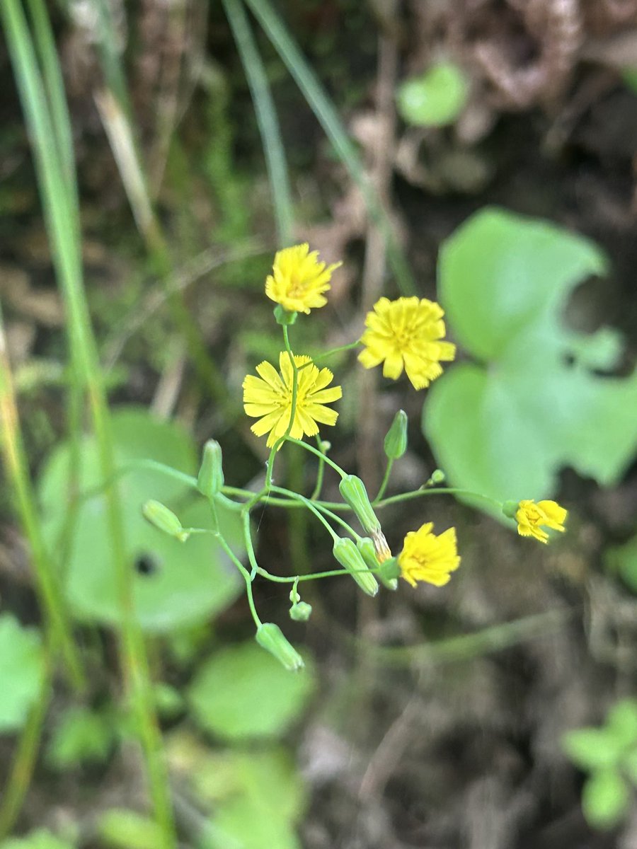 冷たい空を眺めて
目覚めた朝
寂しさが
人を羨む醜さと恥
君の瞳に映るのかな
でも
素直になれるのは君しか居ない
そんな自分を自分で　
笑っているよ