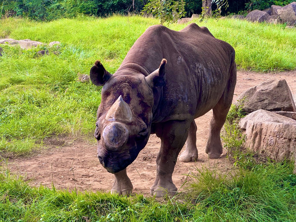 週末めっちゃ遊んでめちゃめちゃ楽しかった。