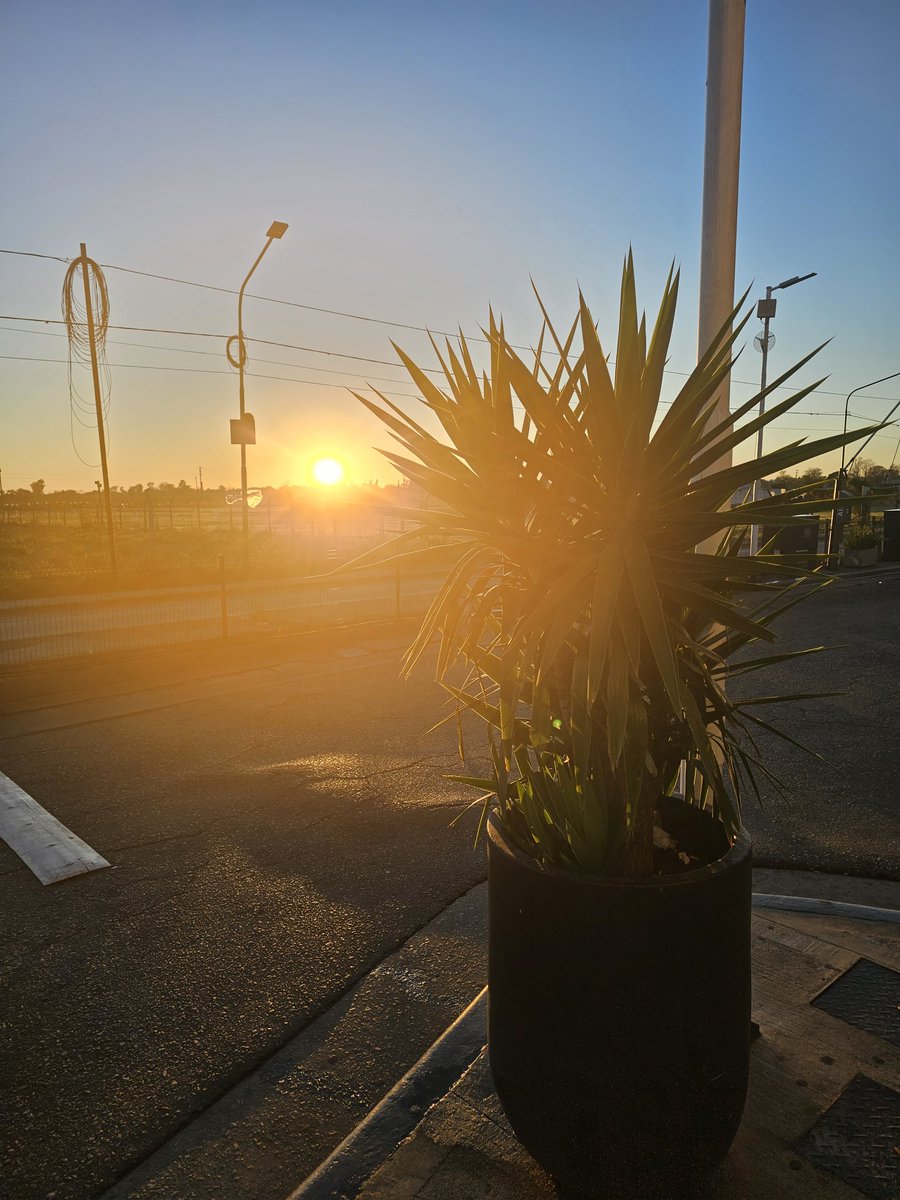 Phil Konieczny tweet media