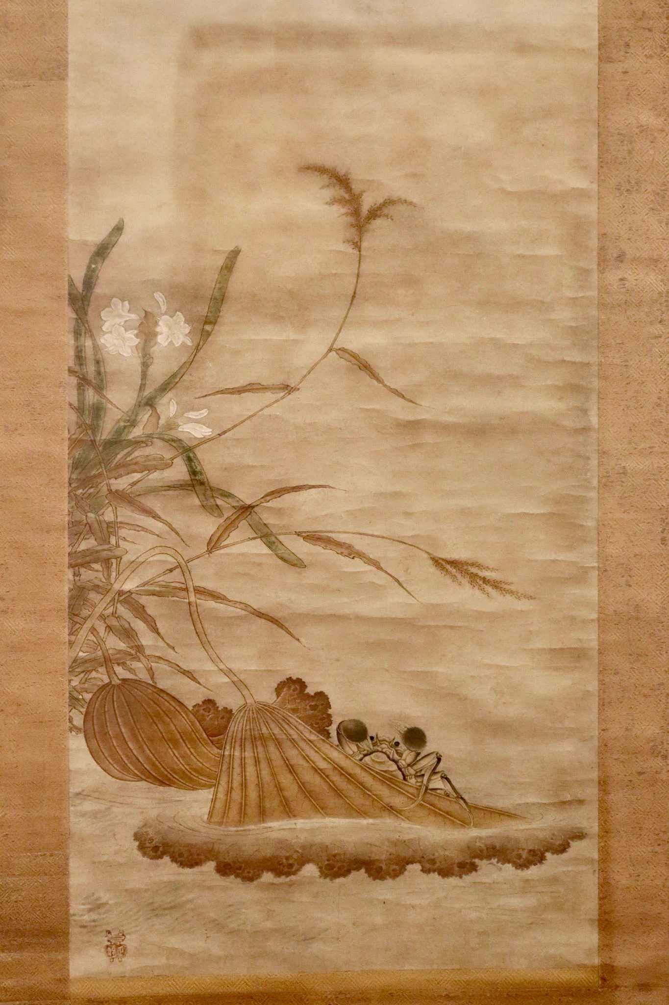 みーぽん🪴戦国の植物鑑賞家 on X: 