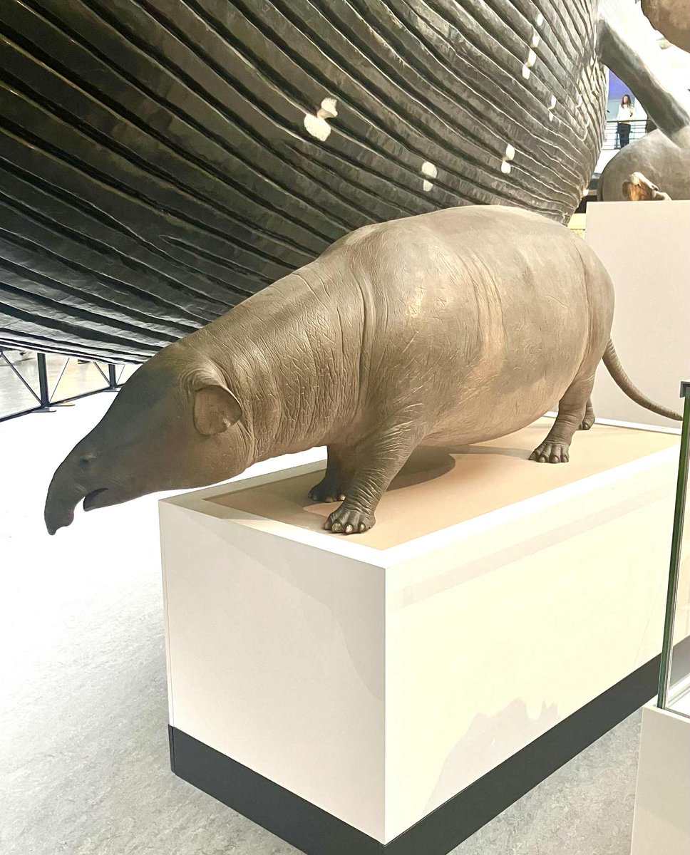 Bex Hainsworth tweet media