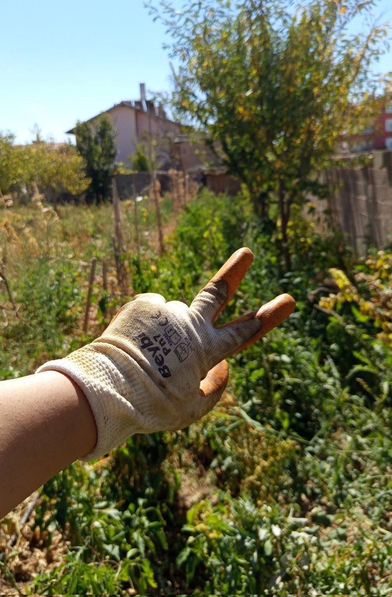 Aynen bahçeli ev güzel falan