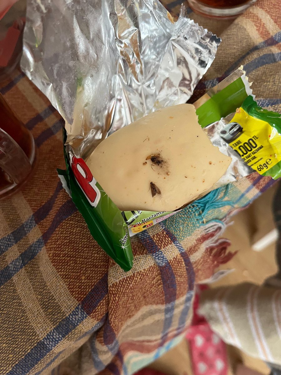 Dilek Gezici 🫶🏻 tweet media