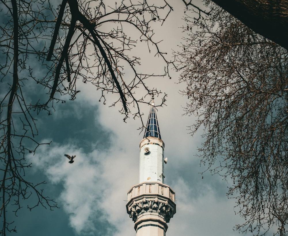 "Allah'ım toprağa sakinlik ver.
Bizi sevdiklerimizi ve tüm milletimizi her türlü afetten koru."

#deprem #Kütahya #Kandilli