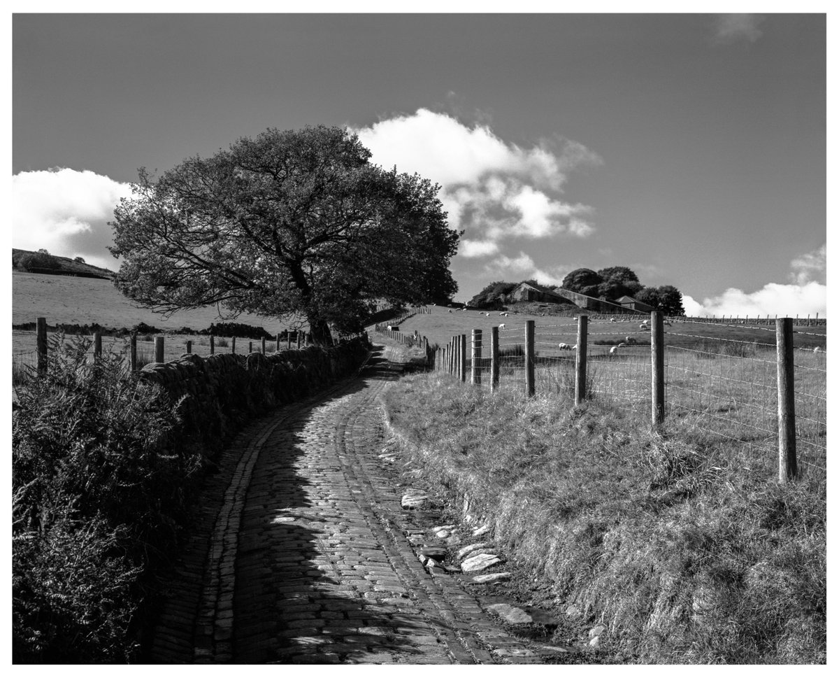 Jeandron's tweet image. Back to the cobbled Spencer Lane, West Yorkshire.
(Intrepid 4x5 mk3, Fujinon 150mm 5.6, f22 1/60 sec, yellow filter, Ilford HP5+)
#filmphotography #filmisnotdead #largeformat #Analog #staybrokeshootfilm #yorkshire #farm #mytholmroyd #hebdenbridge #blackandwhite #landscape #ilford