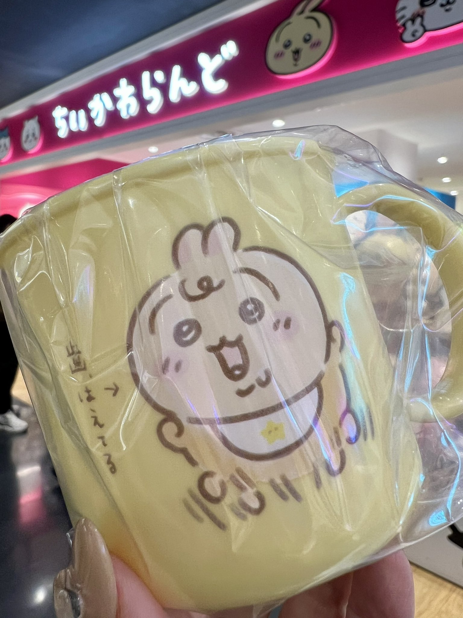 ちいとも様 再販】ねんどろいど うさぎ – SOOTANG HOBBY