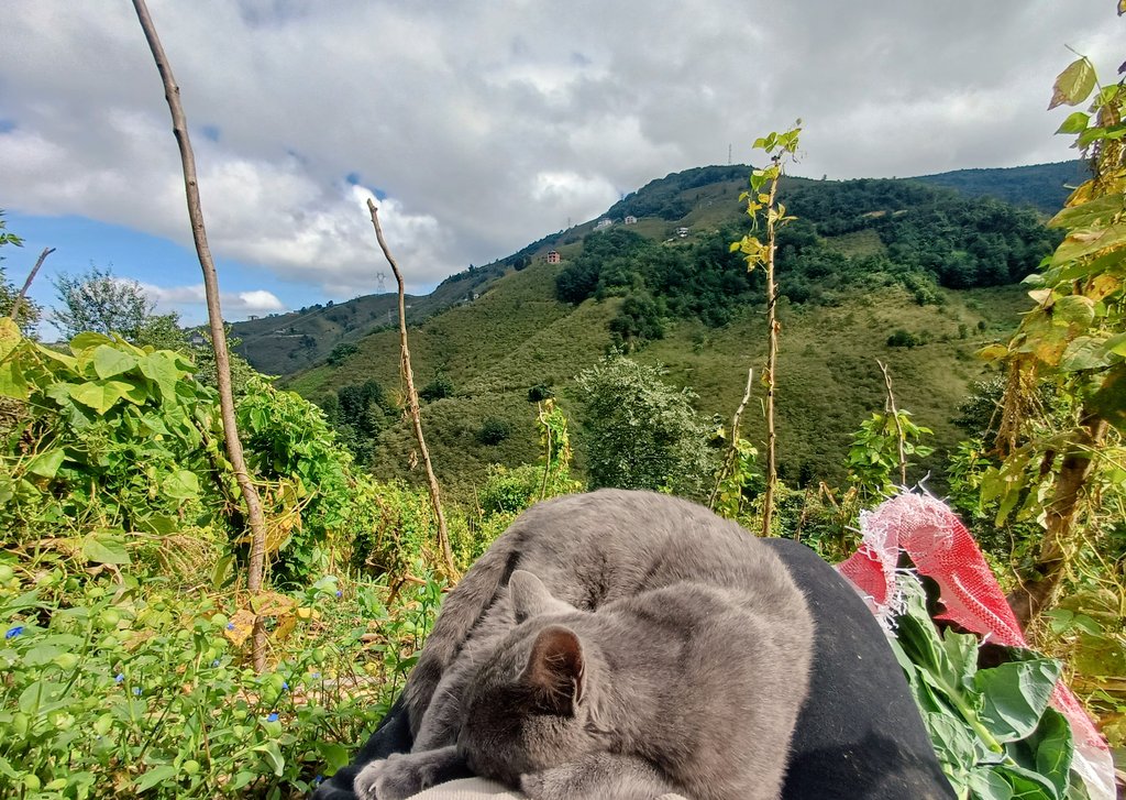 Oysa iki dakika dinlenmek istemiştim :)))