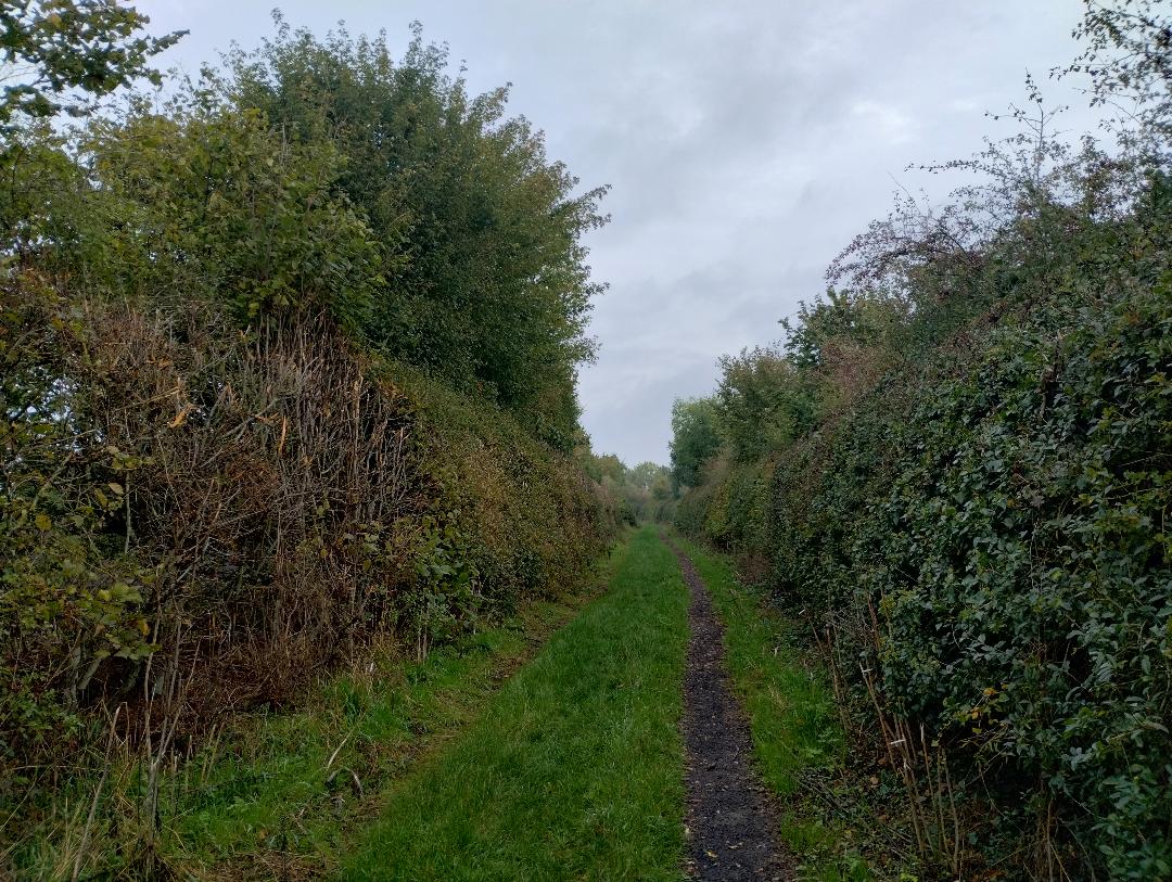 Simon Roddis🦆🦋⚔️⚖️😷 tweet media