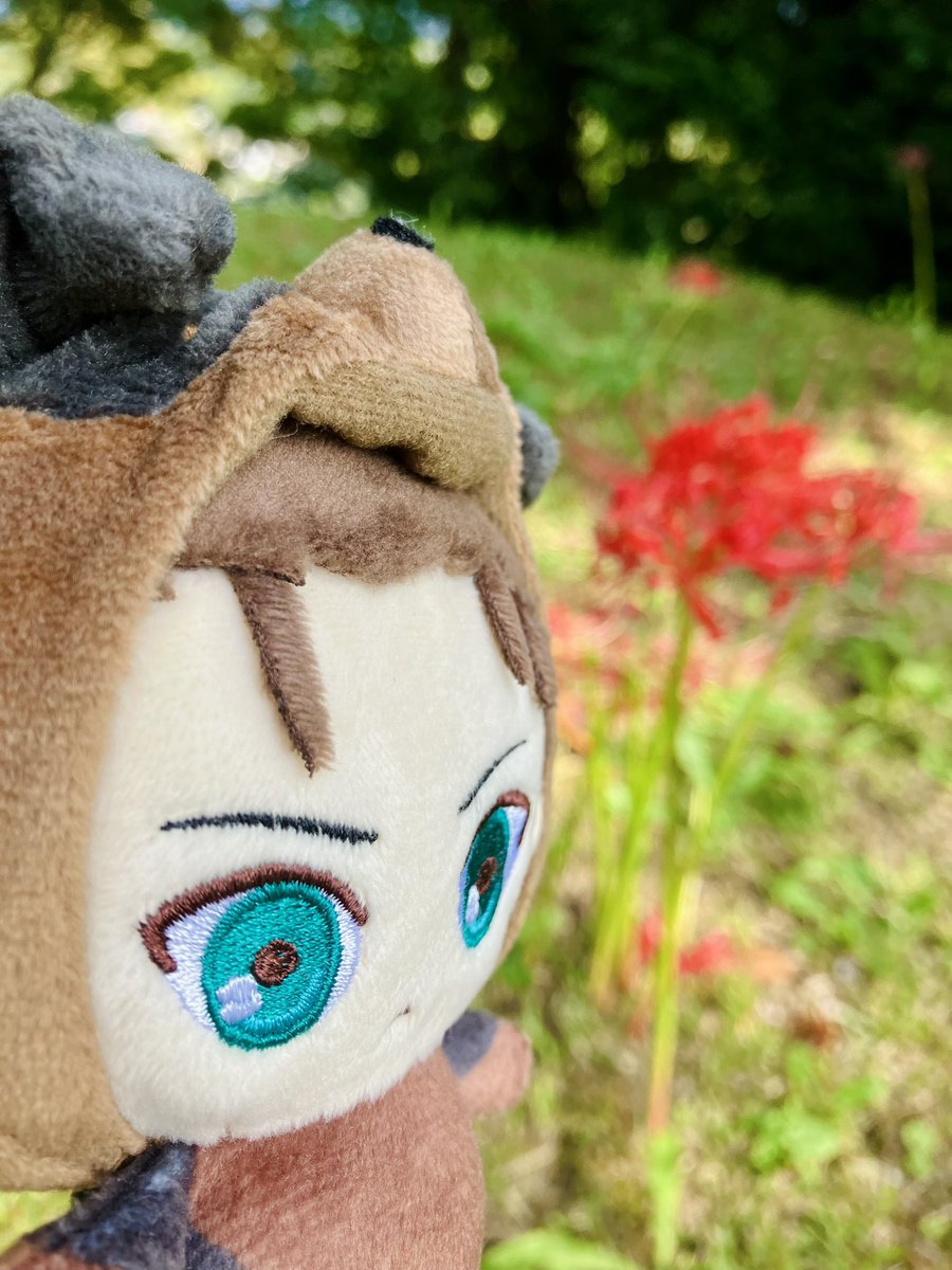 秋晴れ☺️🐶☀️

 #えれわんと一緒