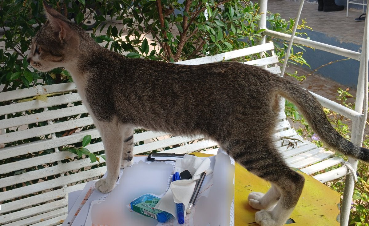 Skell_Chr tweet media