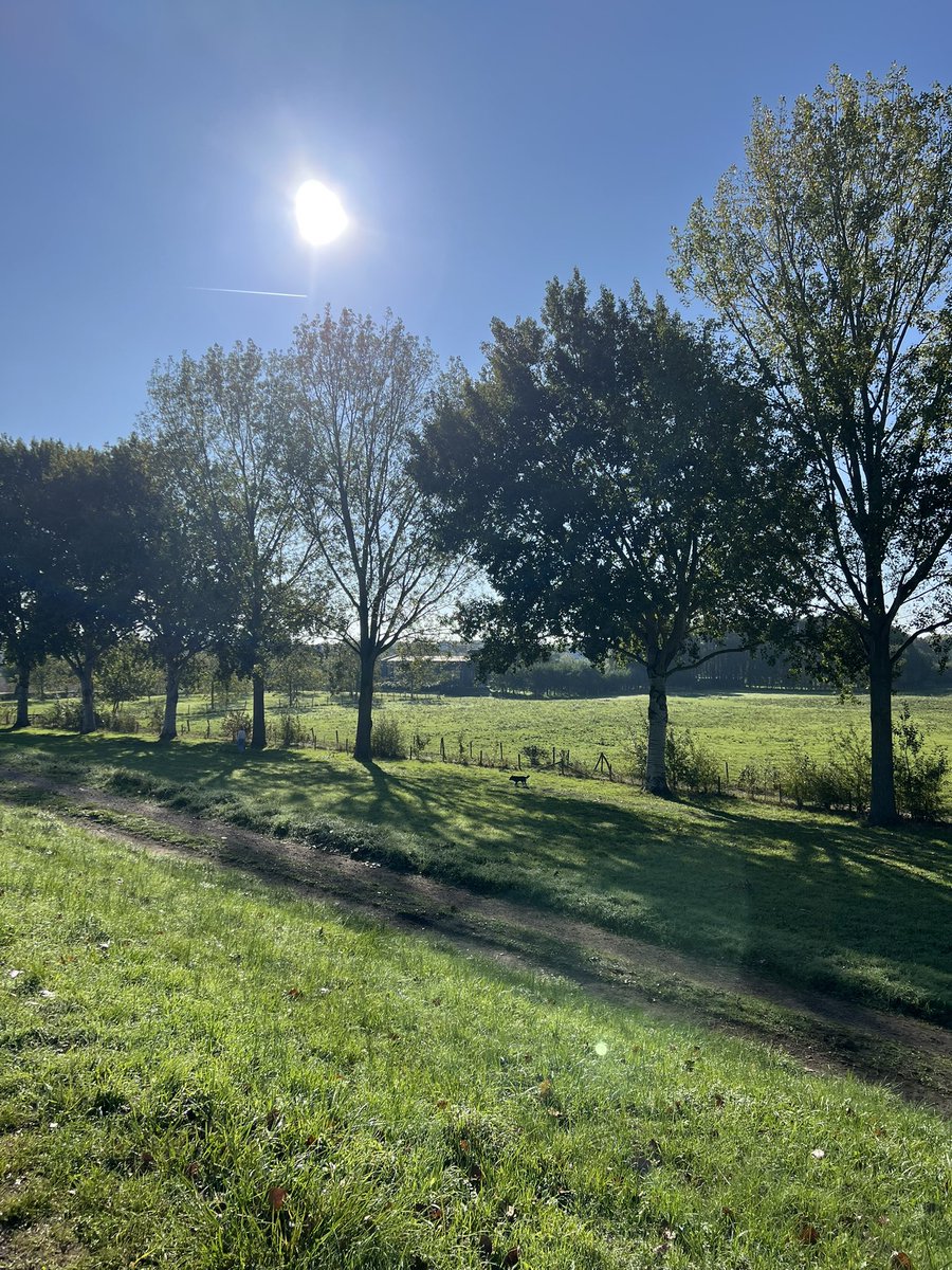 cryptotommie75's tweet image. While yesterday autumn clearly started with mushrooms showing in the forest, today summer is still fighting to stay around a bit longer. Stepping through the seasons with @ST3PR_VET 

#endofsummer 
#AutumnVibes 
#WeekendVibes 
#walking