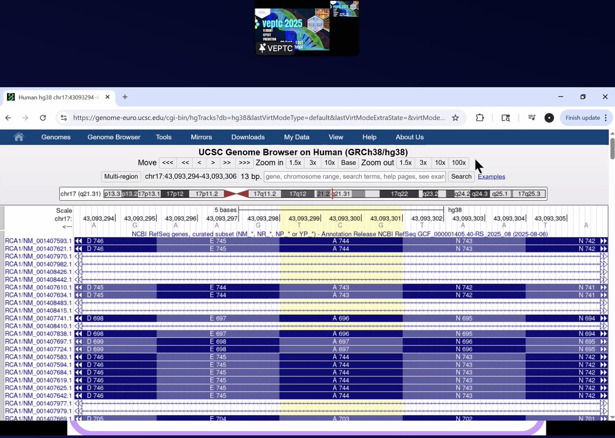 Robert Kuhn is now presenting <a href="/GenomeBrowser/">UCSC Genome Browser</a> @ #veptc2025.  Workshop to follow later

#genomics #genetics #RareDiseases