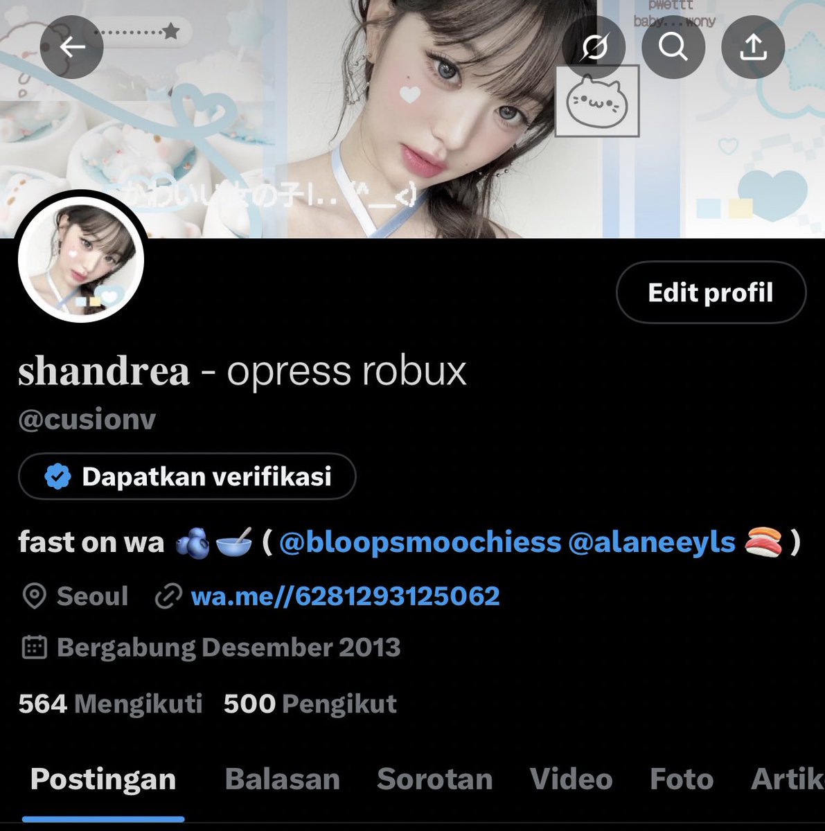 sha — 🐚🪞 tweet media