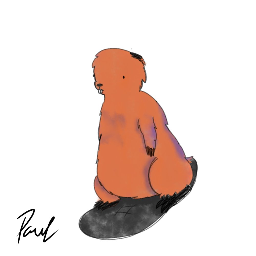 StardustMangaka's tweet photo. #art #ibispaintx #beaver #digitalart #OingoBoingoArtMangaka 

Drew the foul creature because I'm a #realcanadian https://t.co/fOcL293TlL