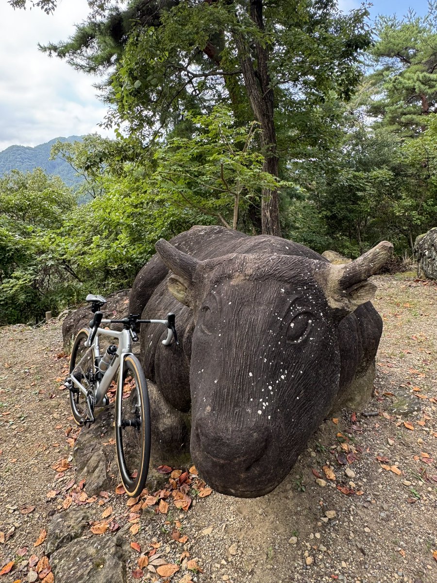 hiro71751373's tweet photo. 今日は赤城山ではなく牛伏山で激坂プチヒルクライムしてきました。そして世界平和を祈りつつ鐘をつきました🐮 https://t.co/hcyCSVQZg9