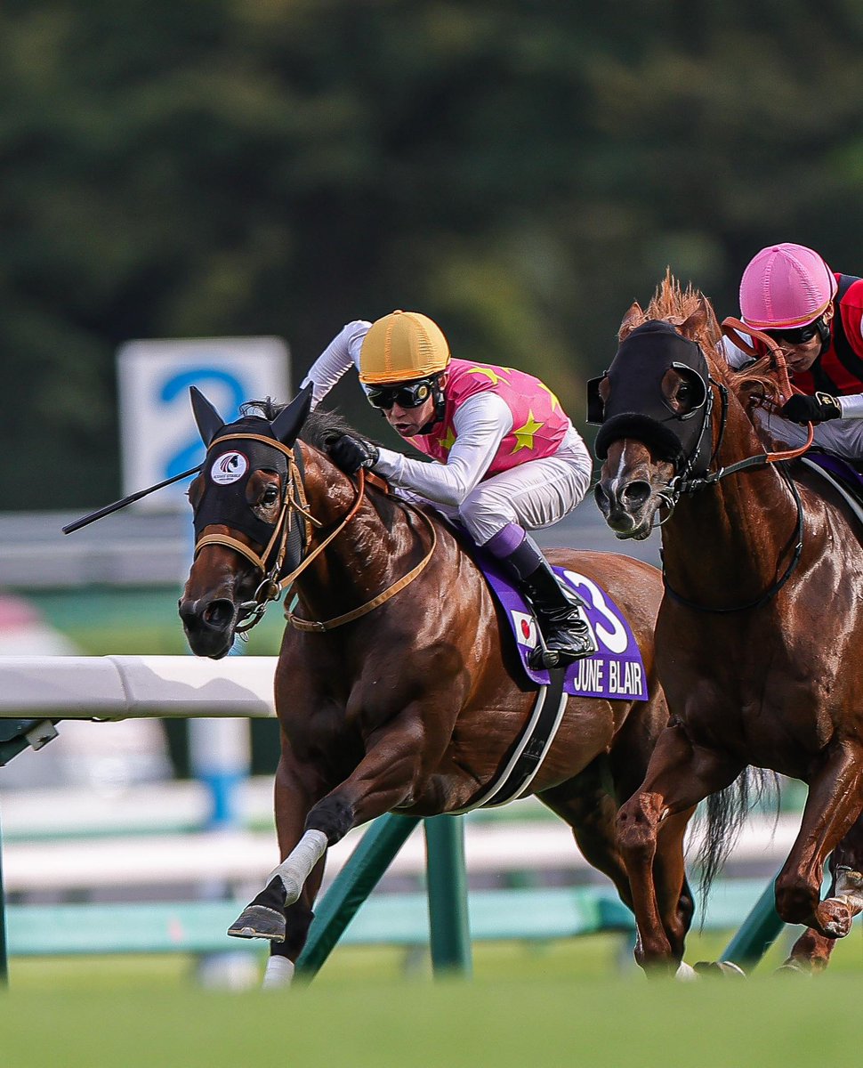 kei__03k's tweet image. 2025.09.28 中山11R 第59回スプリンターズステークス
ジューンブレア×武豊騎手
一瞬勝ったと思いました…
#スプリンターズステークス 
#スプリンターズS
#中山競馬場
#武豊 騎手
#ジューンブレア