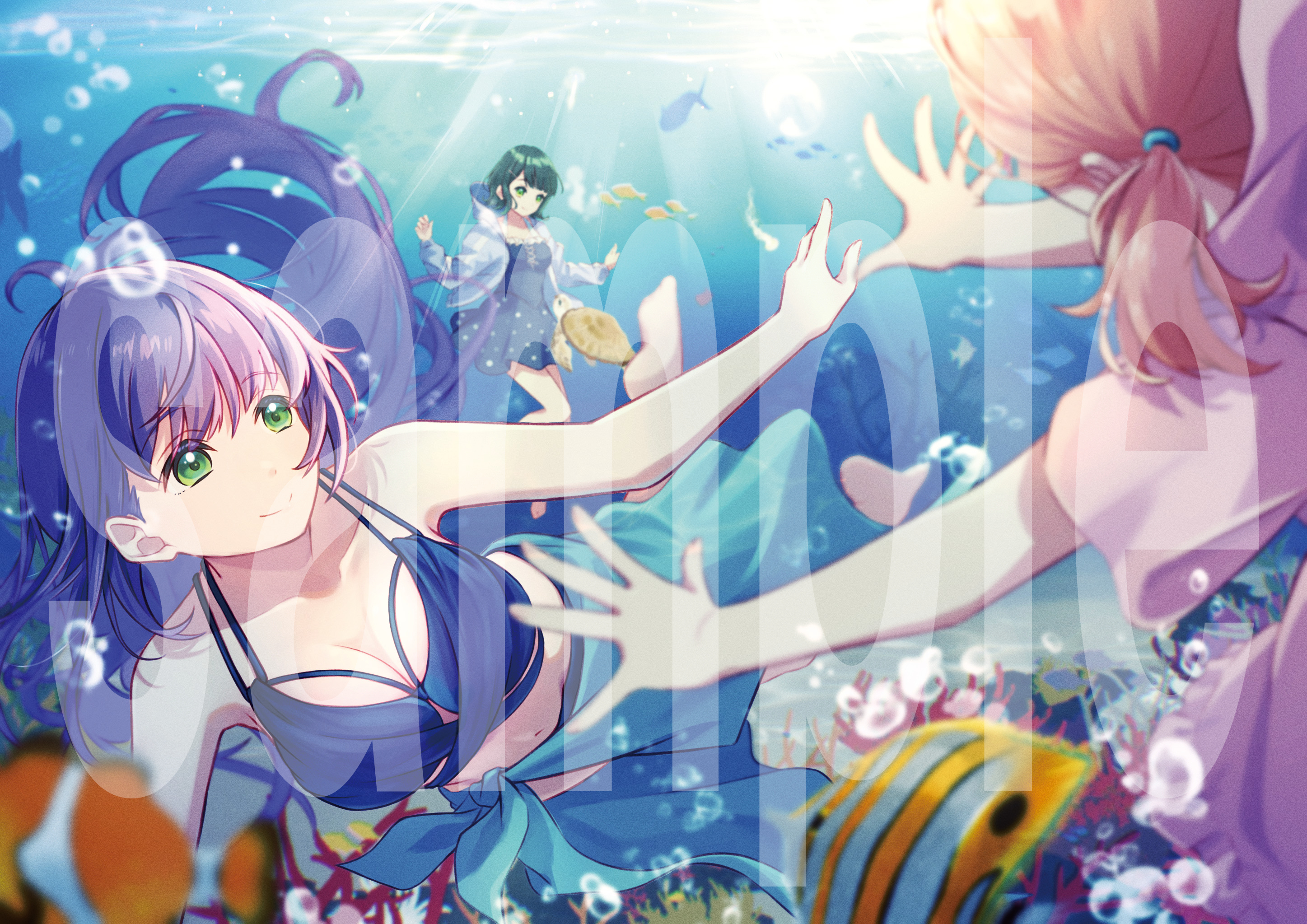 ぱせり★様 購入ページ ぱせり (@paseri013) / X