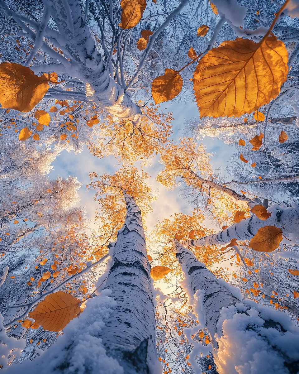 Hello Everyone! 💞🌸💕 Have a beautiful day  🤍🧡