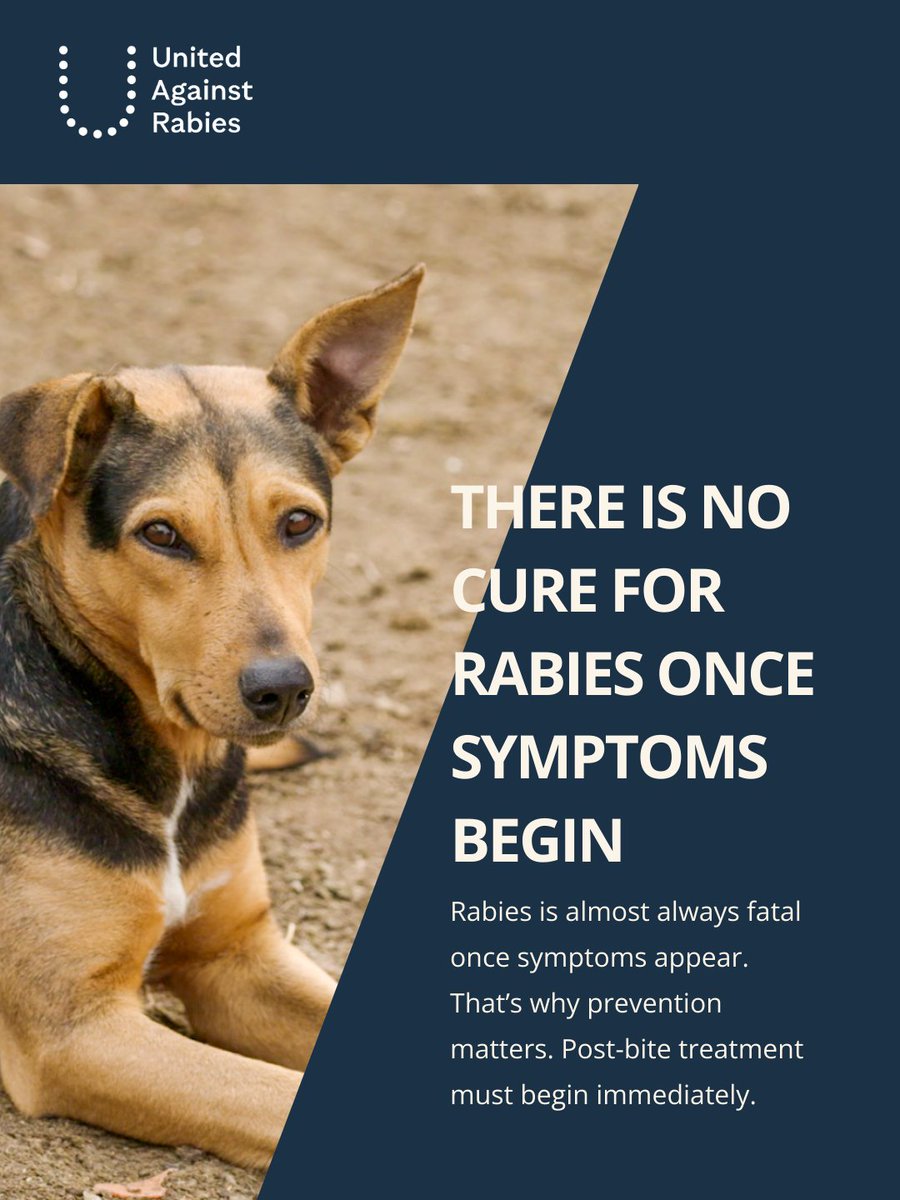 If bitten by a dog 🐶, seek immediate medical attention. 
Rabies is almost always fatal once symptoms appear.

That’s why prevention matters. Annual dog vaccination is critical.

Let’s vaccinate our 🐕 every year! 💉

#WorldRabiesDay 
#EndRabiesNow