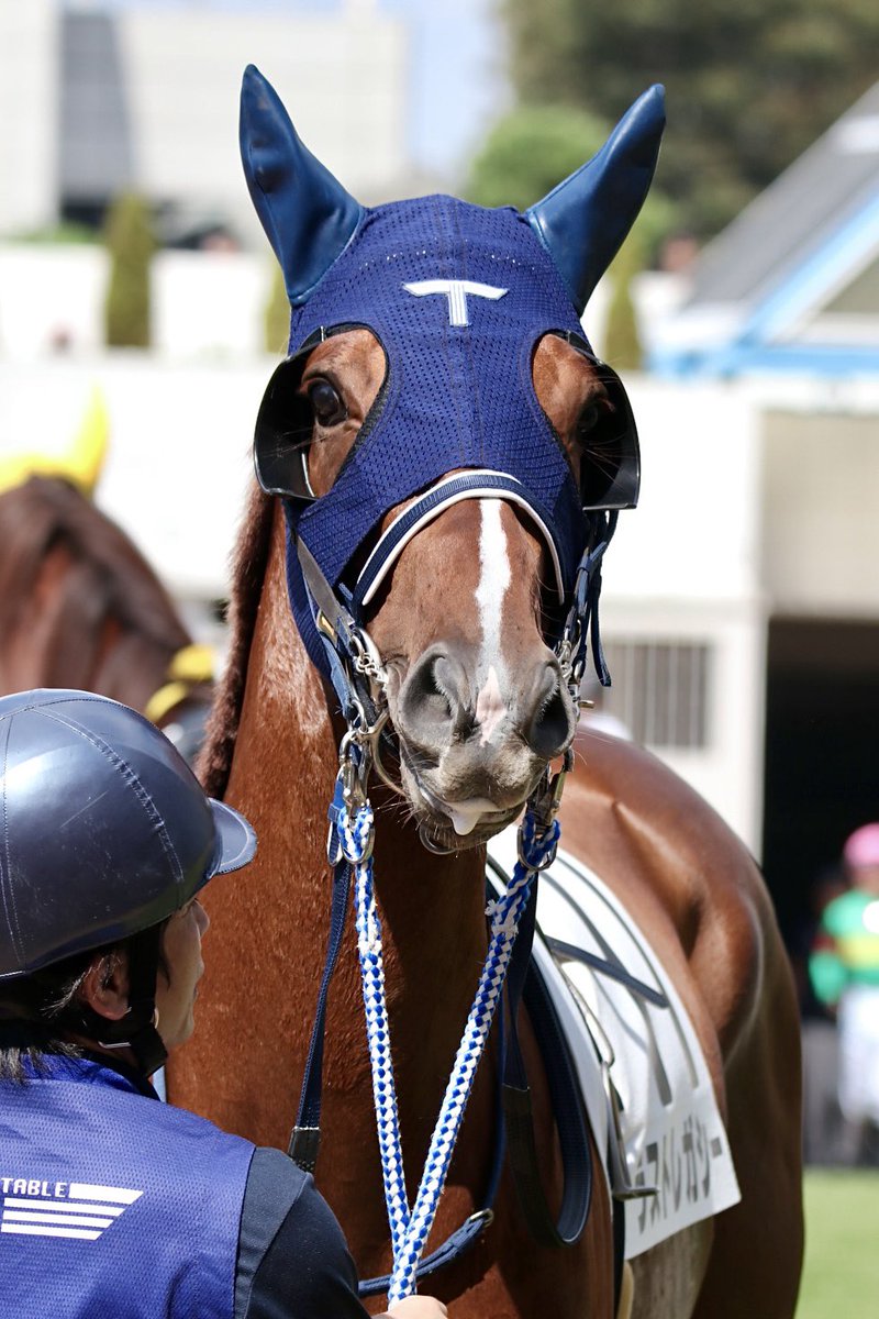 E3%83%A9%E3%82%B9%E3%83%88%E3%83%AC%E3%82%AC%E3%82%B7%E3%83%BC