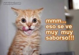 el Nasho w tweet media
